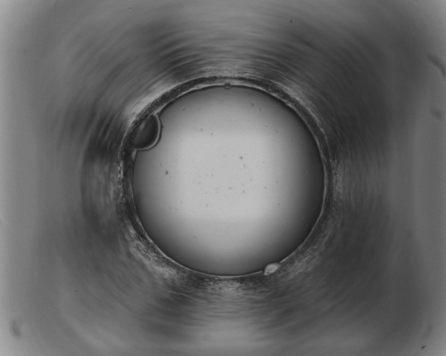 X0000103400971200809191517