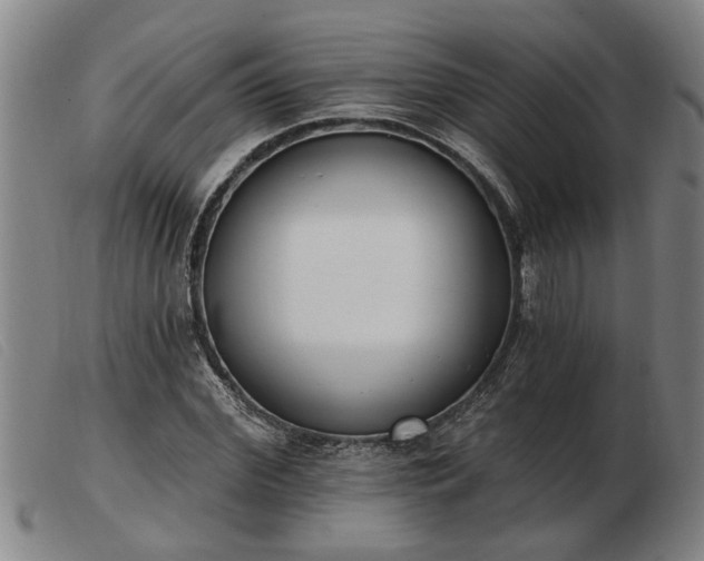 X0000103400972200809191517