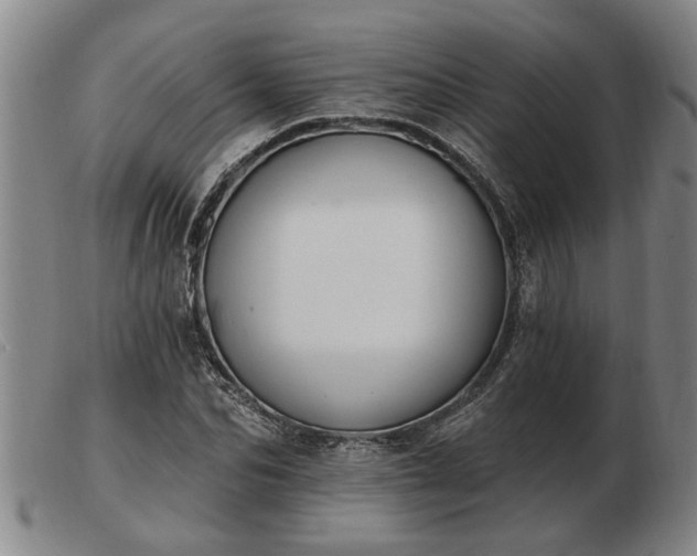 X0000103400974200809191517