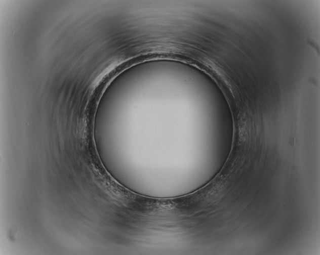 X0000103400975200809191517