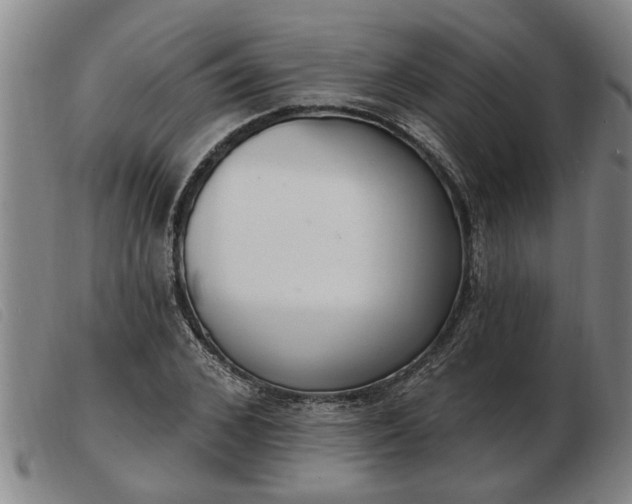 X0000103400976200809191517