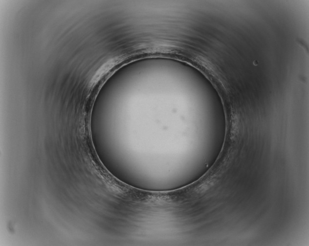 X0000103400978200809191517