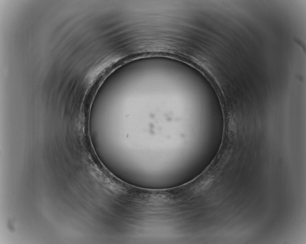 X0000103400979200809191517