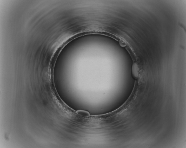 X0000103400981200809191517