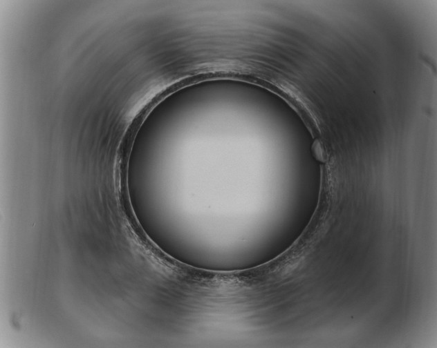 X0000103400983200809191517