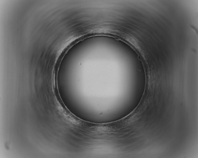 X0000103400984200809191517