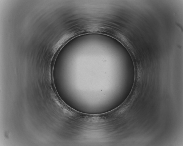 X0000103400986200809191517