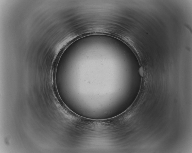 X0000103400987200809191517