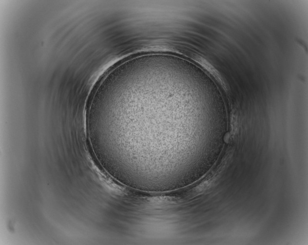 X0000103400988200809191517