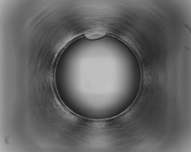 X0000103400989200809191517