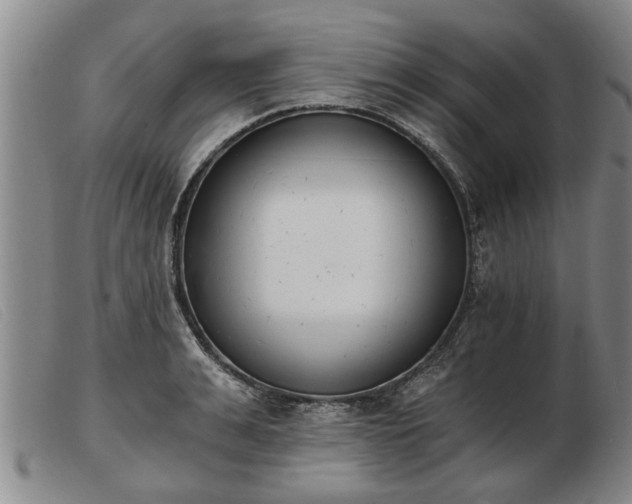 X0000103400991200809191517