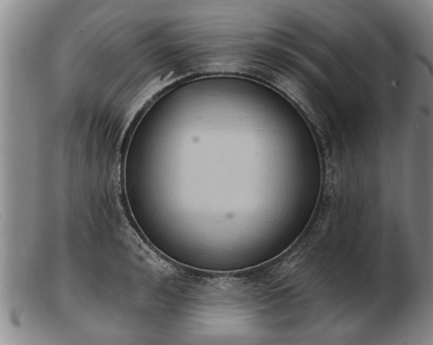 X0000103400992200809191517