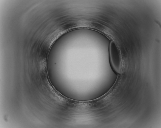 X0000103400993200809191517