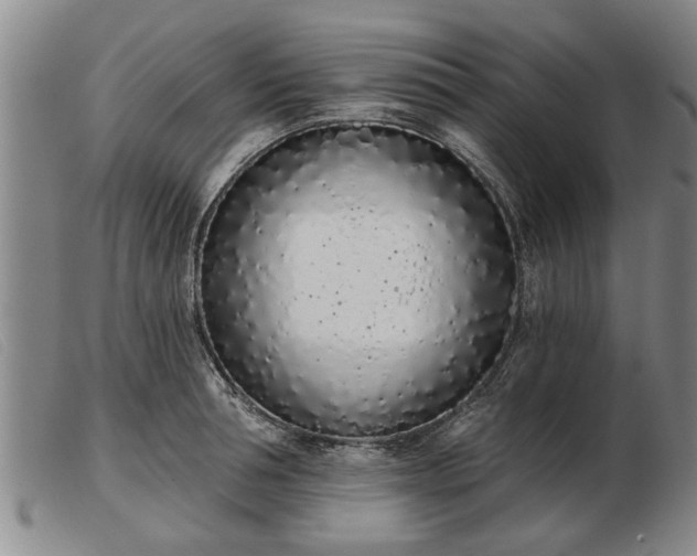 X0000103400994200809191517