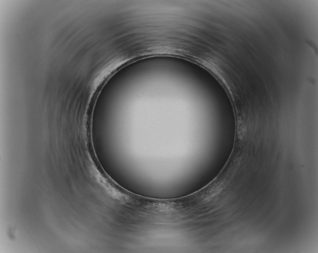 X0000103400995200809191517