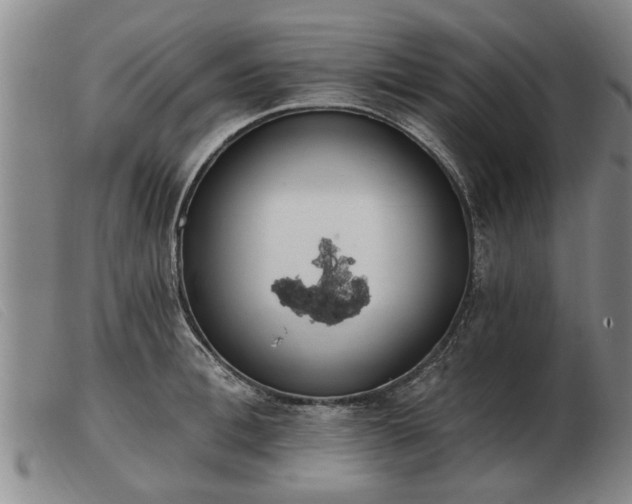 X0000103400996200809191517