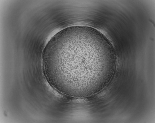 X0000103400998200809191517