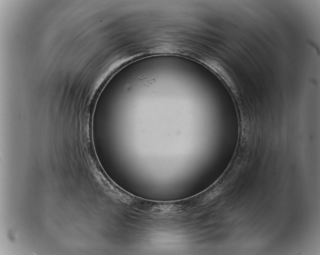 X0000103401000200809191517