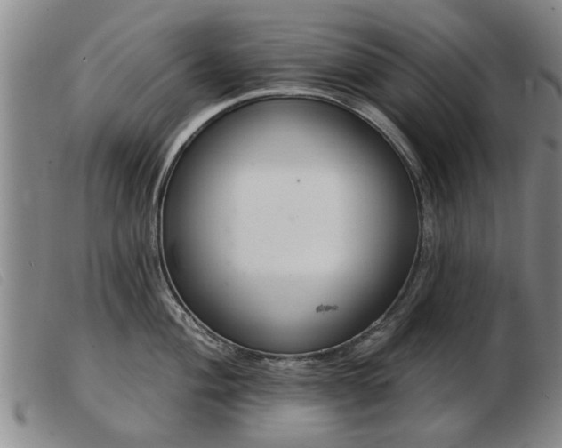 X0000103401004200809191517