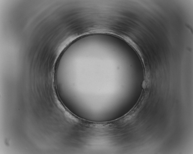 X0000103401005200809191517