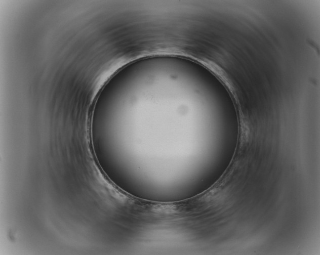 X0000103401006200809191517