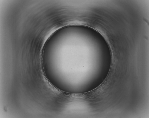 X0000103401008200809191517