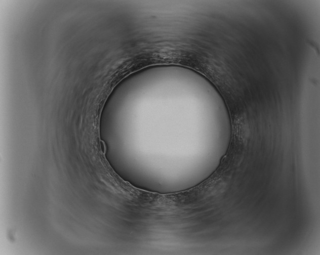 X0000103401009200809191516