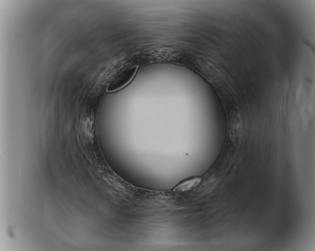 X0000103401010200809191516