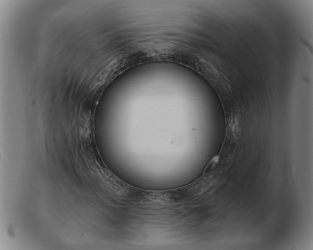 X0000103401012200809191516