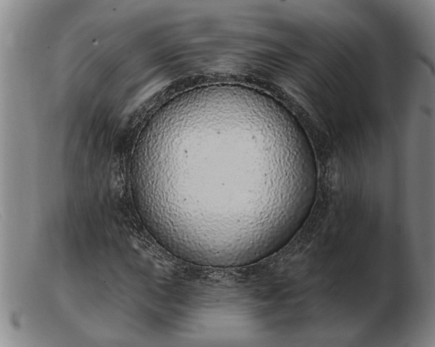 X0000103401015200809191516