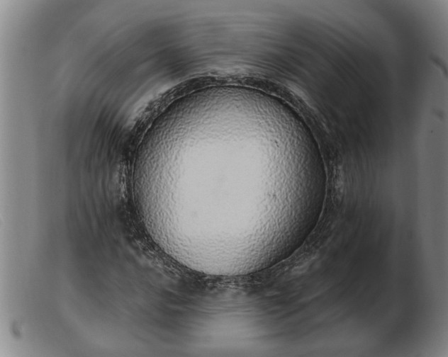 X0000103401016200809191516