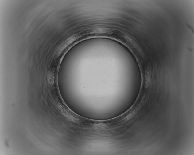 X0000103401017200809191516