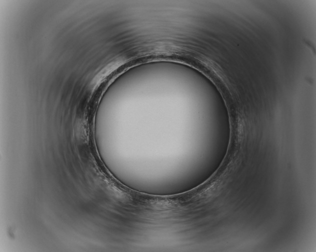 X0000103401018200809191516