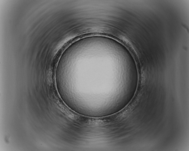 X0000103401019200809191516