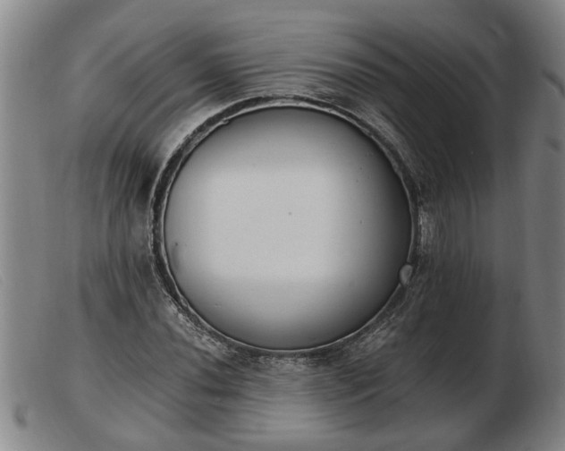 X0000103401020200809191516