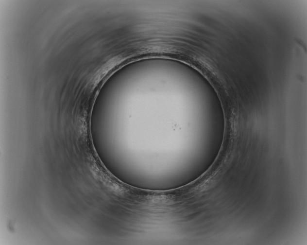 X0000103401025200809191516