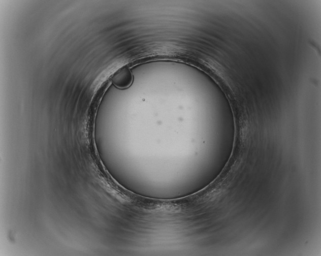 X0000103401026200809191516