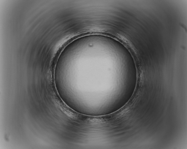 X0000103401027200809191516