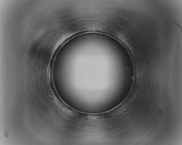 X0000103401032200809191516