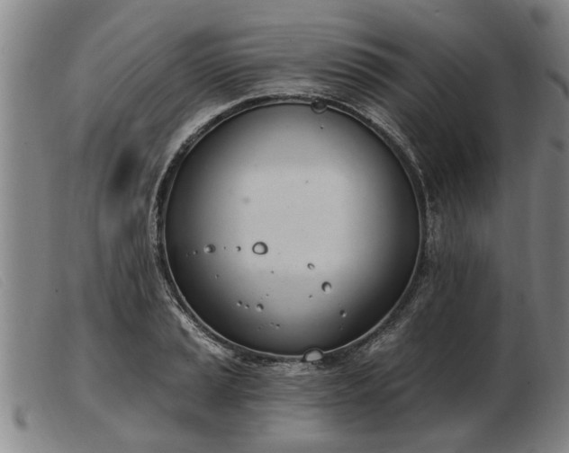 X0000103401037200809191516