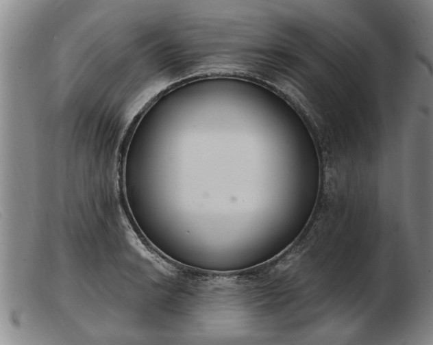 X0000103401038200809191516