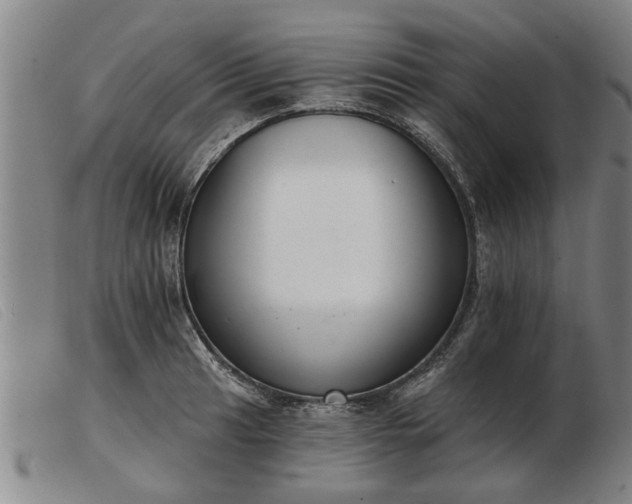 X0000103401041200809191516