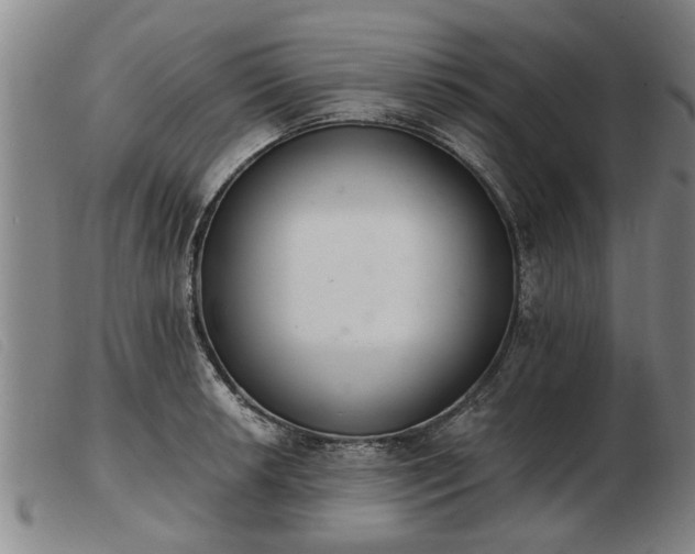 X0000103401042200809191516