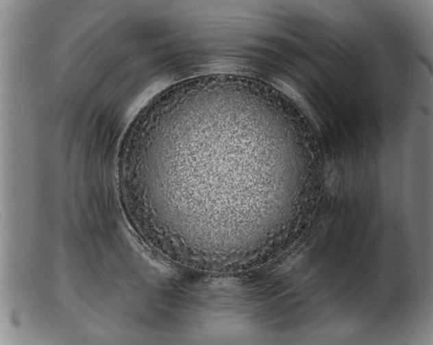 X0000103401043200809191517