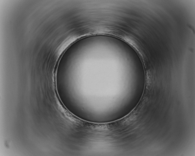 X0000103401047200809191517