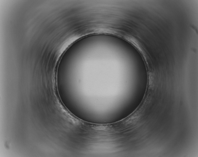 X0000103401048200809191517