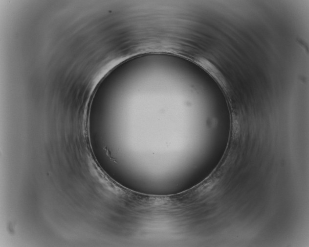 X0000103401052200809191517