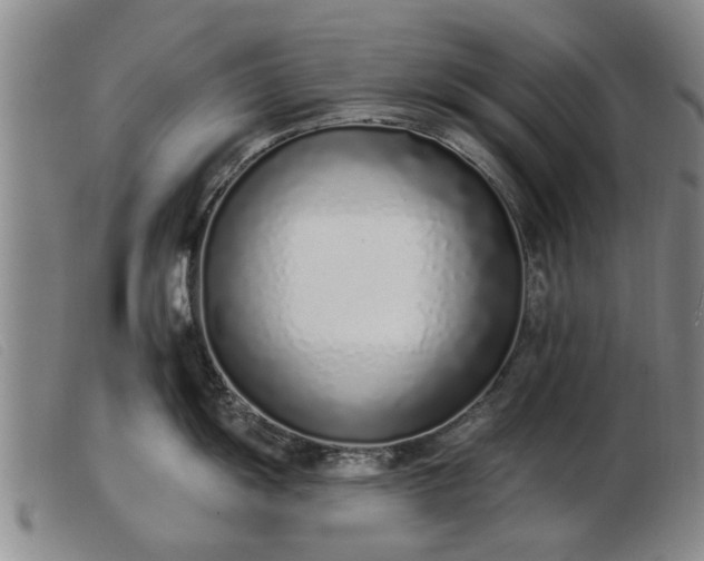 X0000103401055200809191517