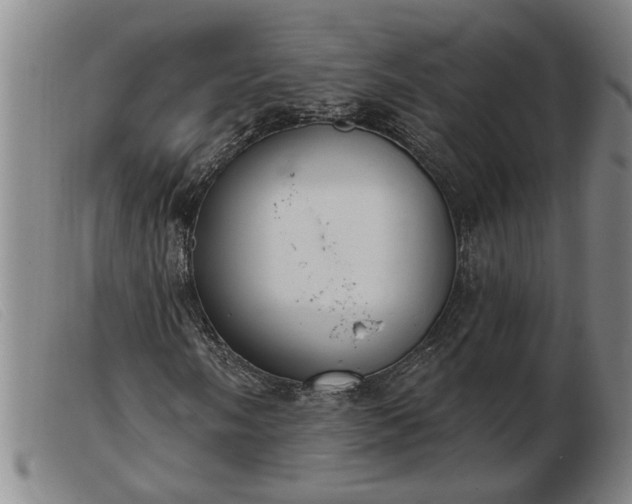 X0000103401058200809191516