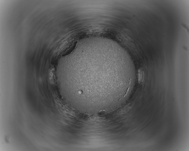 X0000103401059200809191516